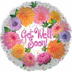 Get Well Soon Chryssanthemum 23cm Each