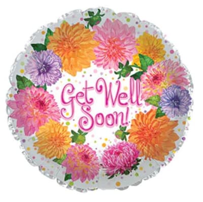 Get Well Crysantheums 11cm Each