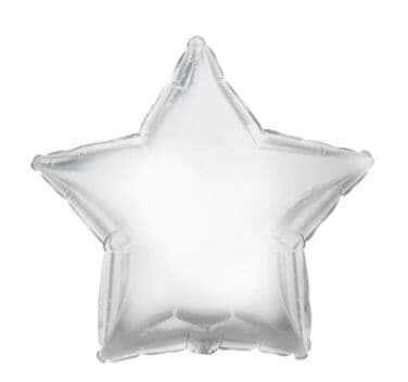 Platinum Silver Foil Star 23cm EA
