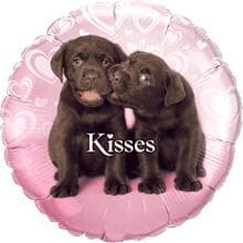 Puppy Kisses 45cm Each